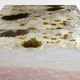 Illustration for article titled The Natural Moss on This Wooden Bookcase Is Preserved Forever in Resin